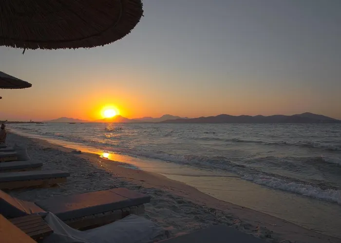 Daire Philippos & Alexandros